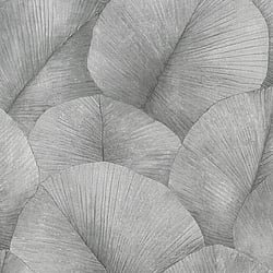 Galerie Wallcoverings Product Code: 34508 - The New Design Book Wallpaper Collection Galerie Wallcoverings Product Code 34508 - The New Design Book Wallpaper Collection - Grey Colours - Palm Leaf Design