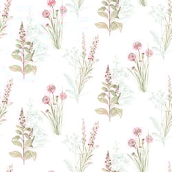 Galerie Wallcoverings Product Code: AB42442 - Abby Rose 4 Wallpaper Collection Galerie Wallcoverings Product Code AB42442 - Abby Rose 4 Wallpaper Collection - Teal Pink Colours - Flora Design