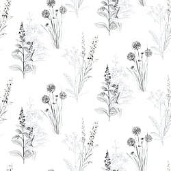 Galerie Wallcoverings Product Code: AB42443 - Abby Rose 4 Wallpaper Collection Galerie Wallcoverings Product Code AB42443 - Abby Rose 4 Wallpaper Collection - Grey Black Colours - Flora Design