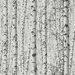 Galerie Wallcoverings Product Code: BW51006 - Blooming Wild Wallpaper Collection Galerie Wallcoverings Product Code BW51006 - Blooming Wild Wallpaper Collection - Grey White Colours - Birch Tree Motif Design