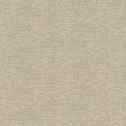 Galerie Wallcoverings Product Code: DWP0233-01 - Emporium Wallpaper Collection Galerie Wallcoverings Product Code DWP0233-01 - Emporium Wallpaper Collection - Gold Colours - Mottled Metallic Plain Design