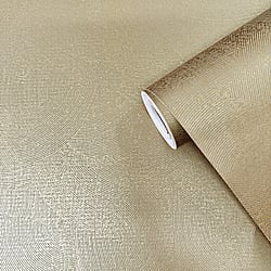 Galerie Wallcoverings Product Code: DWP0366-02 - Zen Wallpaper Collection Galerie Wallcoverings Product Code DWP0366-02 - Zen Wallpaper Collection - Plaster Fan Design