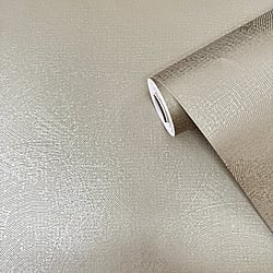 Galerie Wallcoverings Product Code: DWP0366-03 - Zen Wallpaper Collection Galerie Wallcoverings Product Code DWP0366-03 - Zen Wallpaper Collection - Plaster Fan Design