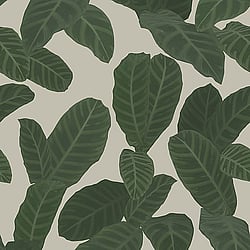 Galerie Wallcoverings Product Code: ED13128 - Ted Baker Eden Wallpaper Collection Galerie Wallcoverings Product Code ED13128 - Ted Baker Eden Wallpaper Collection - Taupe Green Colours - Piner Design