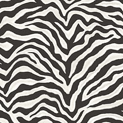 Galerie Wallcoverings Product Code: G67491 - Natural Fx Wallpaper Collection Galerie Wallcoverings Product Code G67491 - Natural Fx Wallpaper Collection - Zebra Design