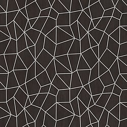 Galerie Wallcoverings Product Code: G67694 - Special Fx Wallpaper Collection Galerie Wallcoverings Product Code G67694 - Special Fx Wallpaper Collection - Black Silver Colours - Glitter Web Design