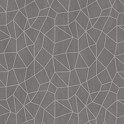Galerie Wallcoverings Product Code: G67698 - Special Fx Wallpaper Collection Galerie Wallcoverings Product Code G67698 - Special Fx Wallpaper Collection - Silver Grey Beige Colours - Glitter Web Design