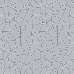 Galerie Wallcoverings Product Code: G67699 - Special Fx Wallpaper Collection Galerie Wallcoverings Product Code G67699 - Special Fx Wallpaper Collection - Silver Grey Colours - Glitter Web Design