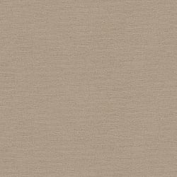 Galerie Wallcoverings Product Code: HV41004 - Blooming Wild Wallpaper Collection Galerie Wallcoverings Product Code HV41004 - Blooming Wild Wallpaper Collection - Beige Brown Colours - Havana Plain Texture Design