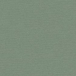 Galerie Wallcoverings Product Code: HV41017 - Blooming Wild Wallpaper Collection Galerie Wallcoverings Product Code HV41017 - Blooming Wild Wallpaper Collection - Green Colours - Havana Plain Texture Design