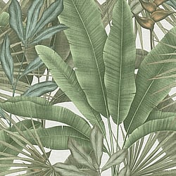 Galerie Wallcoverings Product Code: WH30114 - Welcome Home Wallpaper Collection Galerie Wallcoverings Product Code WH30114 - Welcome Home Wallpaper Collection - Green Colours - Tropical Leaves Design