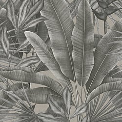 Galerie Wallcoverings Product Code: WH30115 - Welcome Home Wallpaper Collection Galerie Wallcoverings Product Code WH30115 - Welcome Home Wallpaper Collection - Silver Grey Colours - Tropical Leaves Design